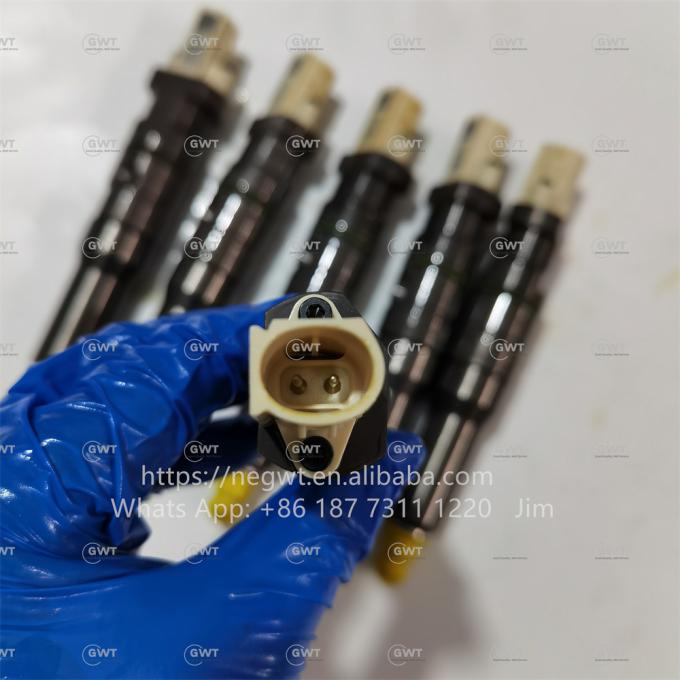DAF MX11 US MY17 DELPHI Diesel Fuel Injection Pump BEBJ1D05001 2047601