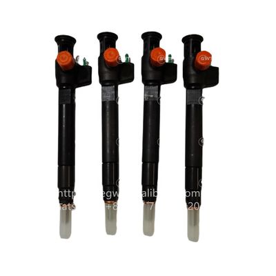 Инжекторы дизельного топлива DELPHI 9674984080 DS7Q-9F593-BB 28319895 28388960 28602948