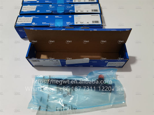 Инжекторы дизельного топлива DELPHI 9674984080 DS7Q-9F593-BB 28319895 28388960 28602948