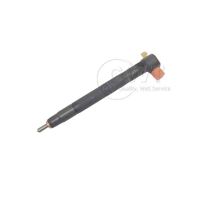 OEM DELPHI Инжекторы дизельного топлива 28489562 25183185 25195088