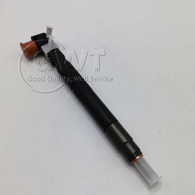 Оригинальные ОЭМ DELPHI Дизельные топливные инжекторы A6710170121 28236381