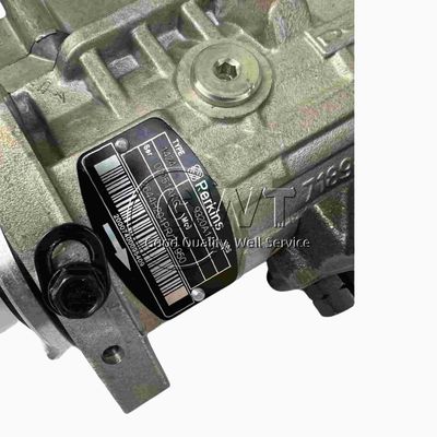 9320A143T Дельфийский дизельный топливный насос 2644H201PR 9320A140T DP210 DP310