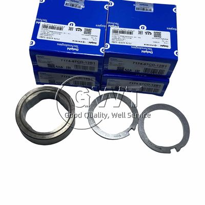 Дельфийская камера с кольцом и записной платой 7174-67Cd